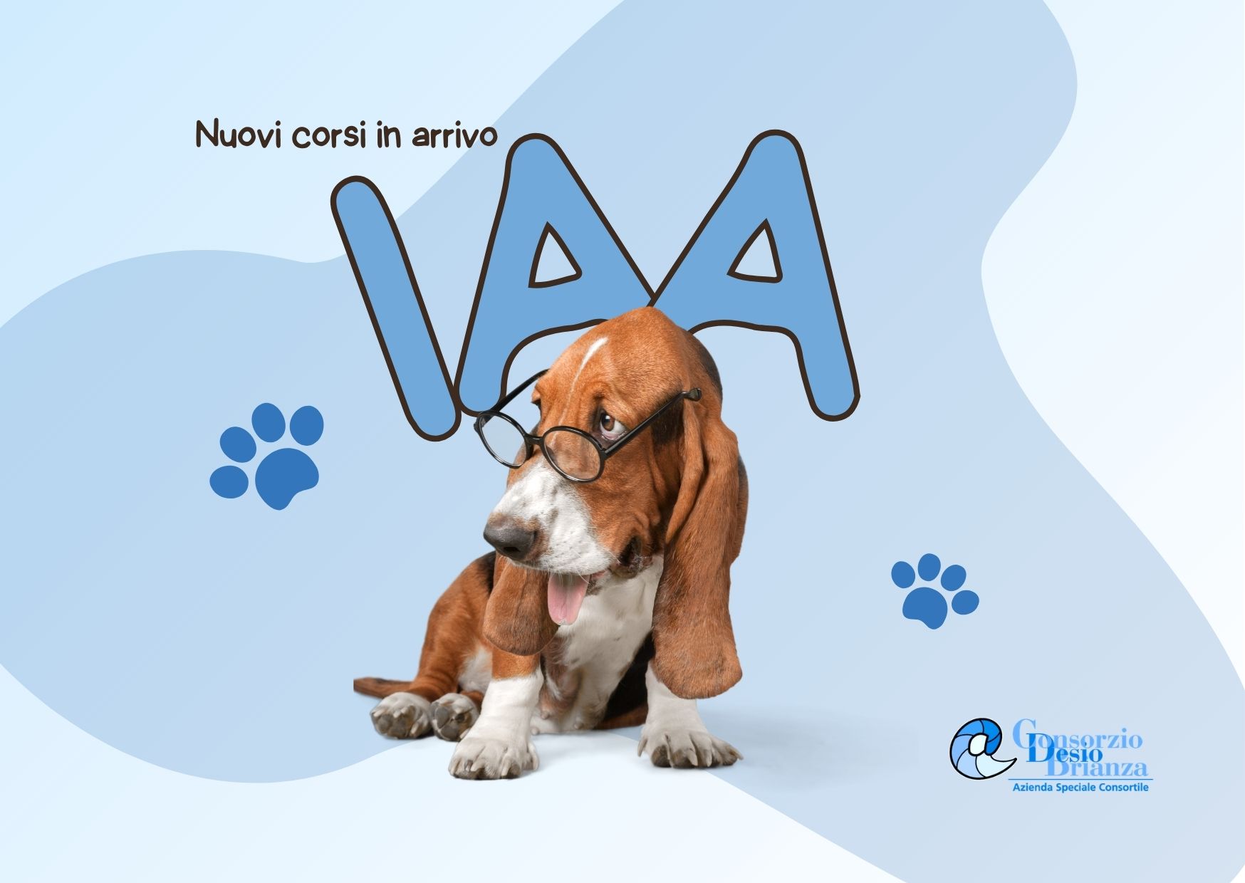 Corsi IAA